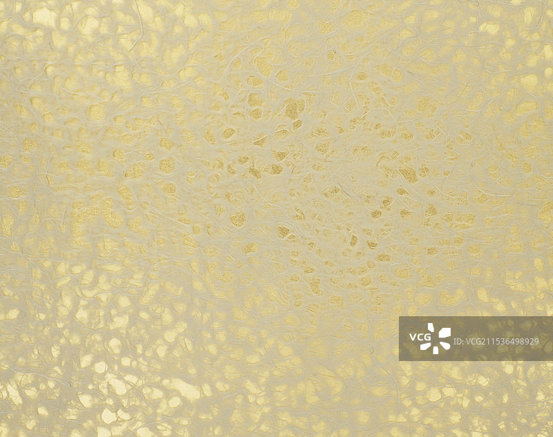 网中的黄金图片素材