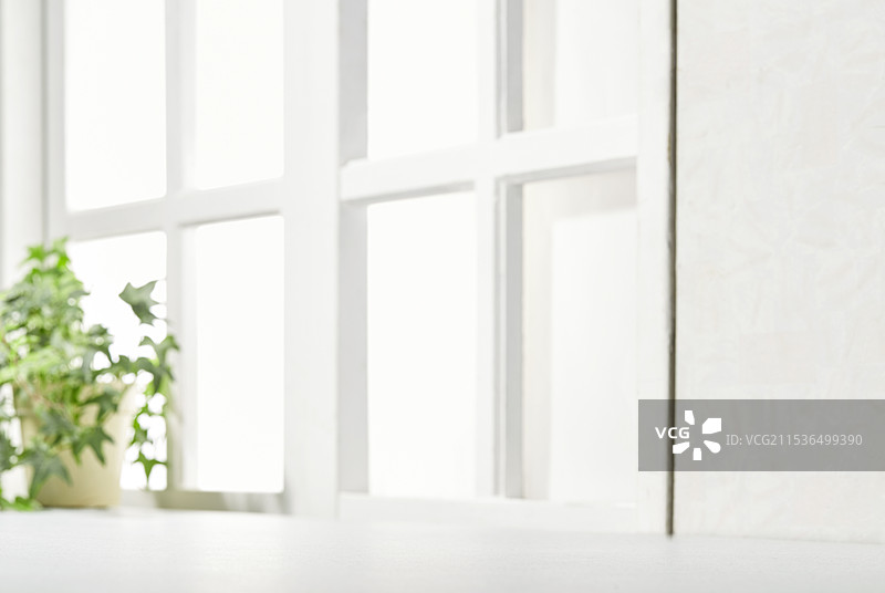 明亮的房间，植物，窗户图片素材