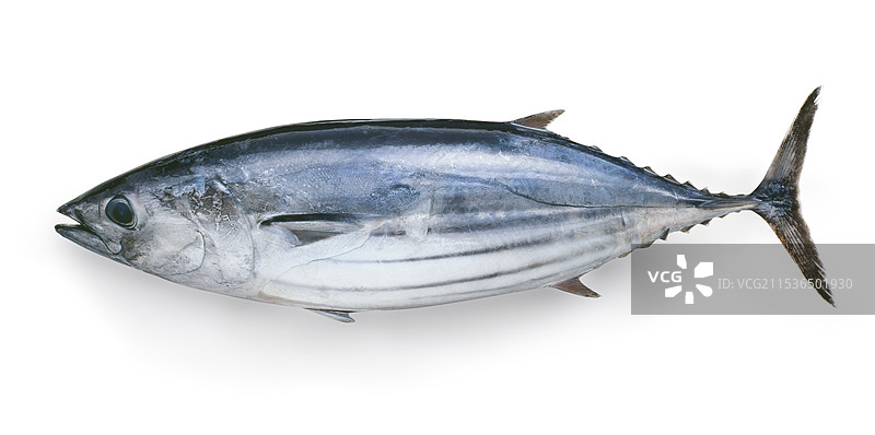 美丽的图片素材