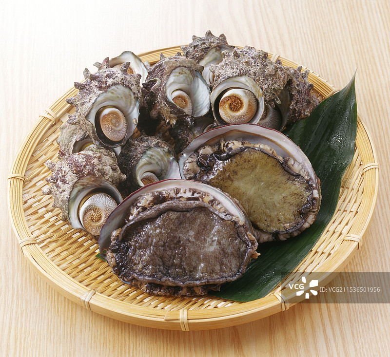 鲍鱼和海螺图片素材