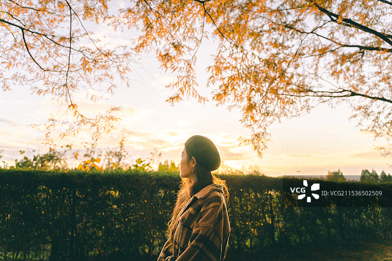 秋天黄昏时分散步的女人图片素材