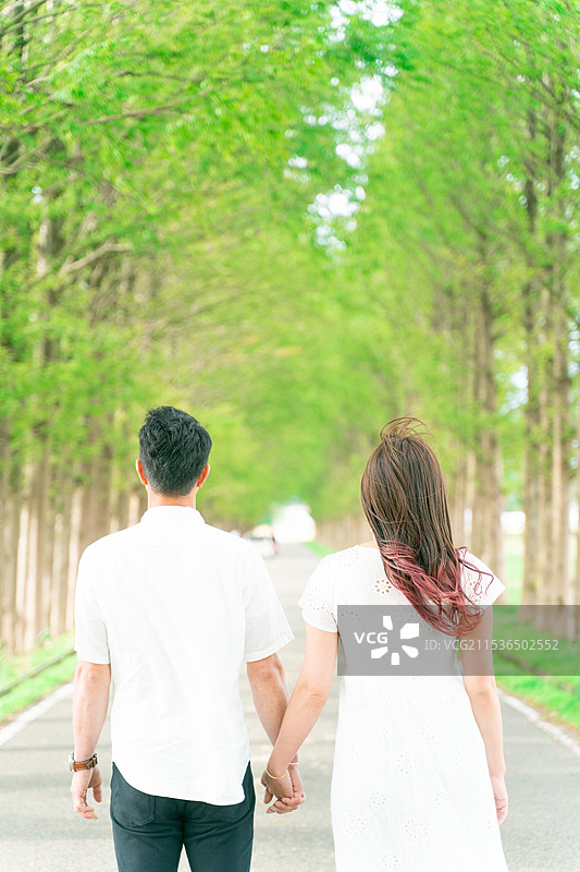 一排水杉树和一对情侣图片素材