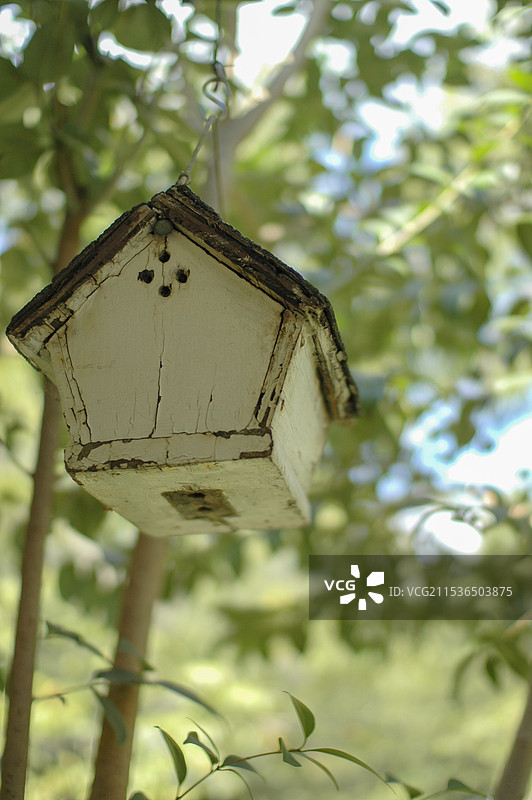 花园中的鸟屋景观，四周环绕着丰富自然的树林图片素材