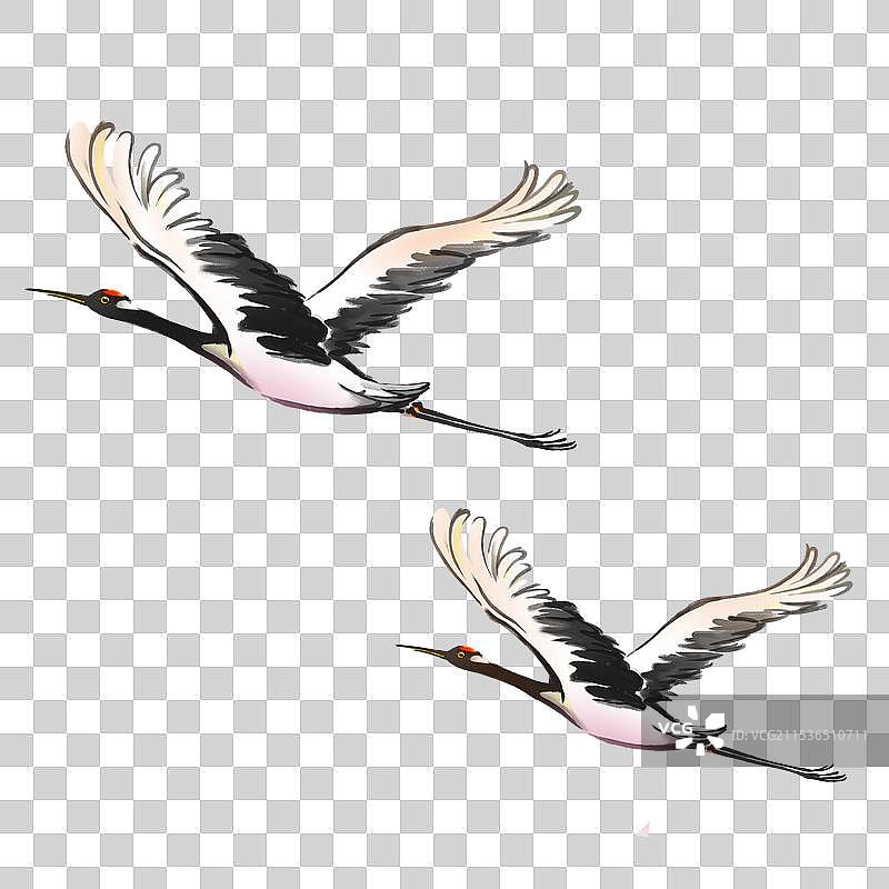 免扣仙鹤白鹤图图片素材