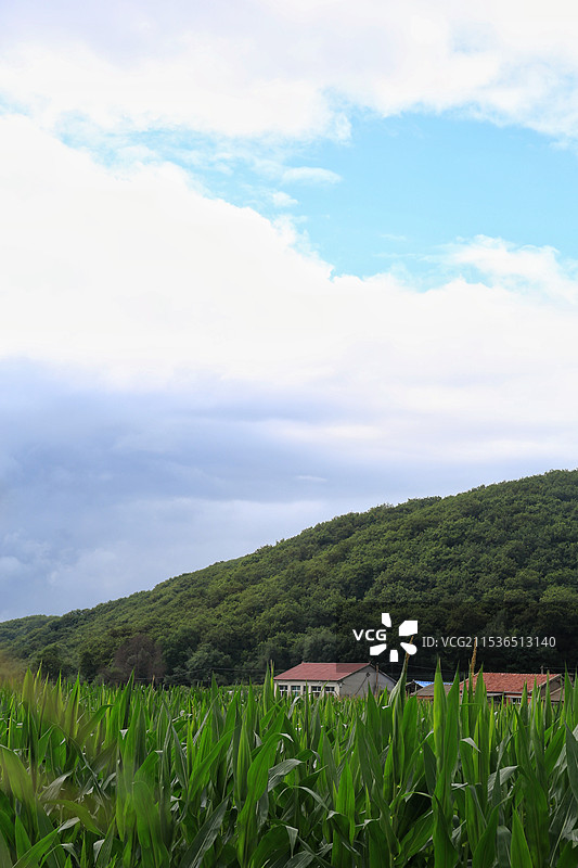 夏日乡村风光图片素材