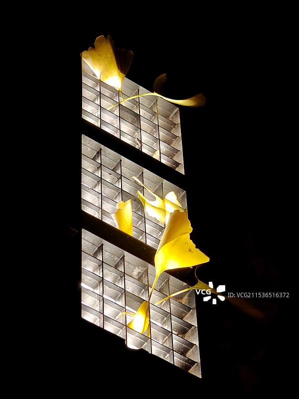 西安冬天夜景扫街之银杏罩射灯图片素材