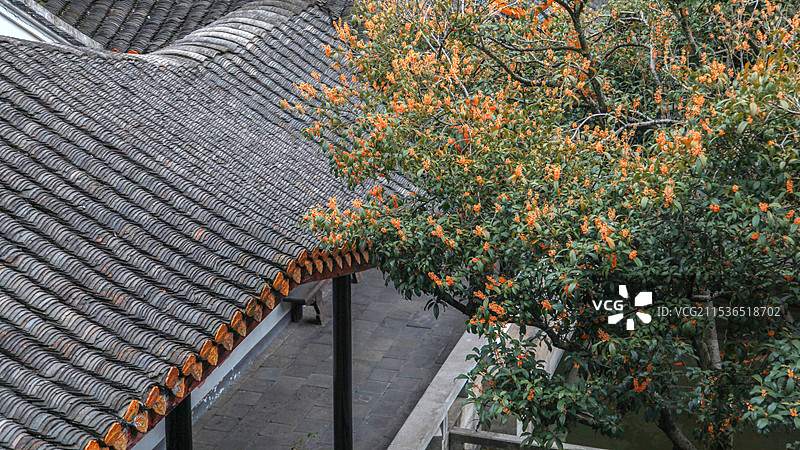 岳麓书院御书楼秋景图片素材