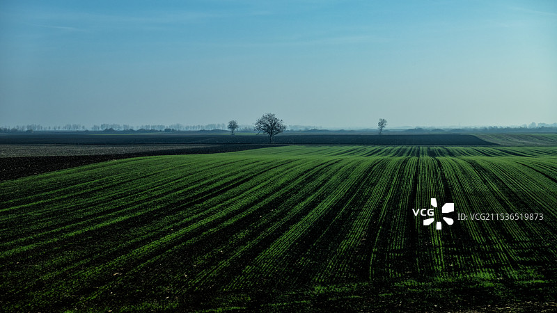 Vojvodina, Serbia 伏伊伏丁那平原图片素材