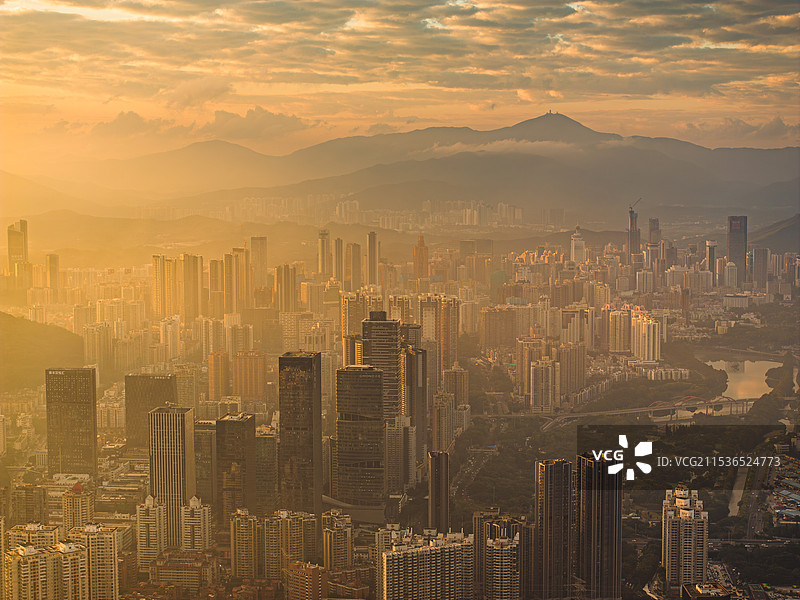 航拍深圳东部城区图片素材