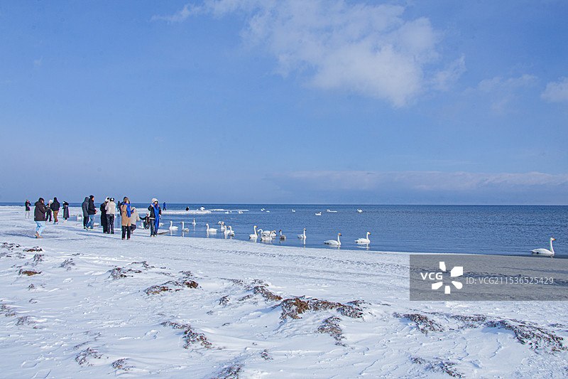 赛里木湖冬天天鹅湖雪景图片素材