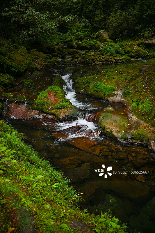 张家界金鞭溪图片素材