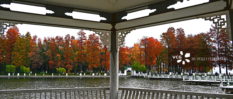 东湖秋色图片素材