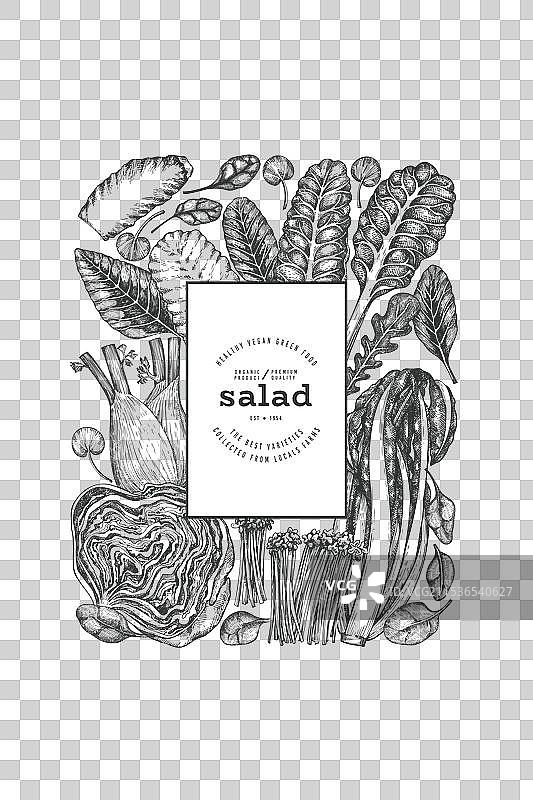 手绘绿色蔬菜设计模板图片素材