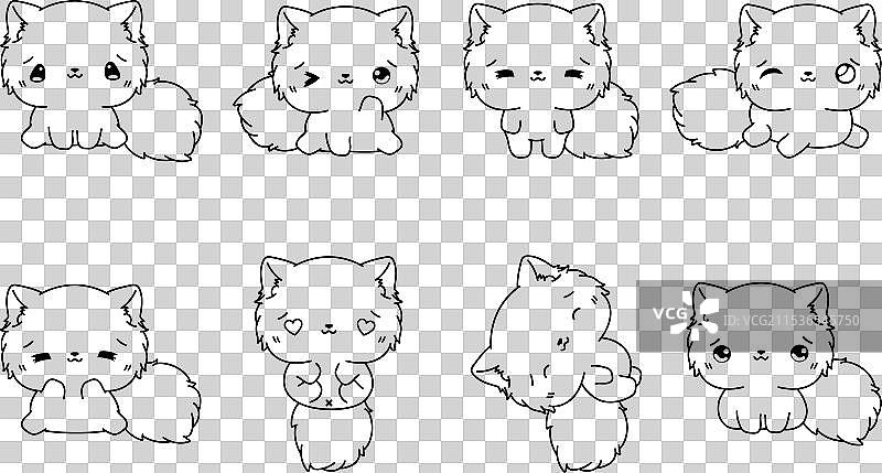 一套可爱的孤立波斯猫涂色页图片素材
