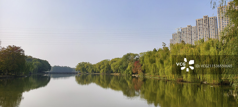 安徽颍上五里湖湿地公园图片素材