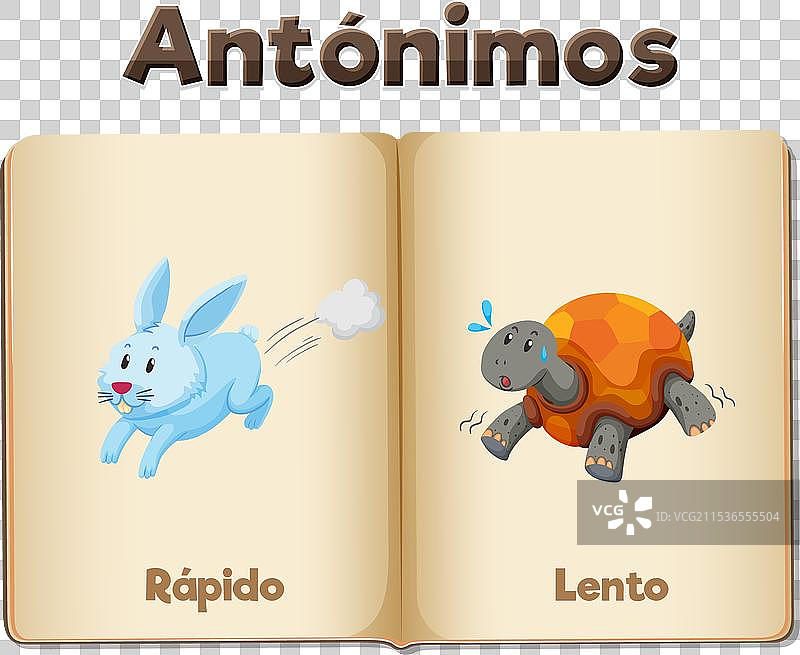 快速与缓慢的反义词词卡图片素材