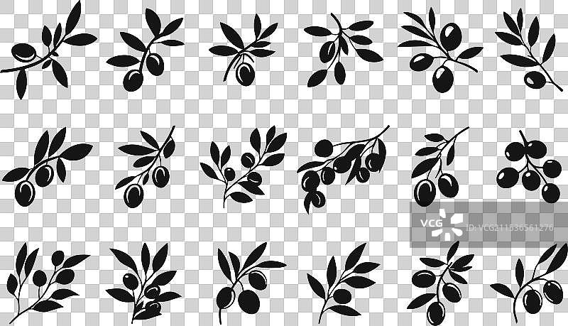 成熟橄榄枝轮廓黑色图标集图片素材