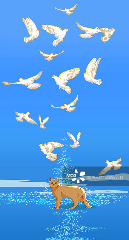 鸽子与猫咪图片素材