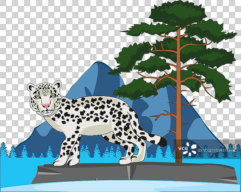 雪豹的雪和图片素材