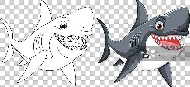 微笑的大白鲨图片素材