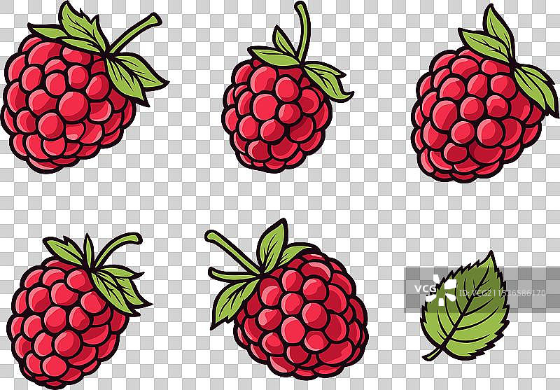 覆盆子图片素材