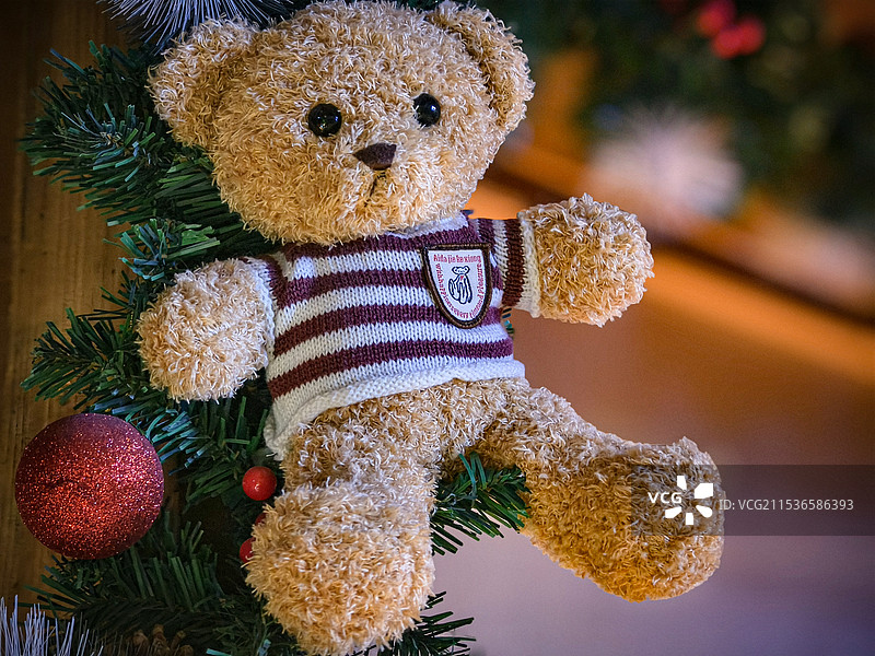 圣诞树上的小熊玩偶图片素材