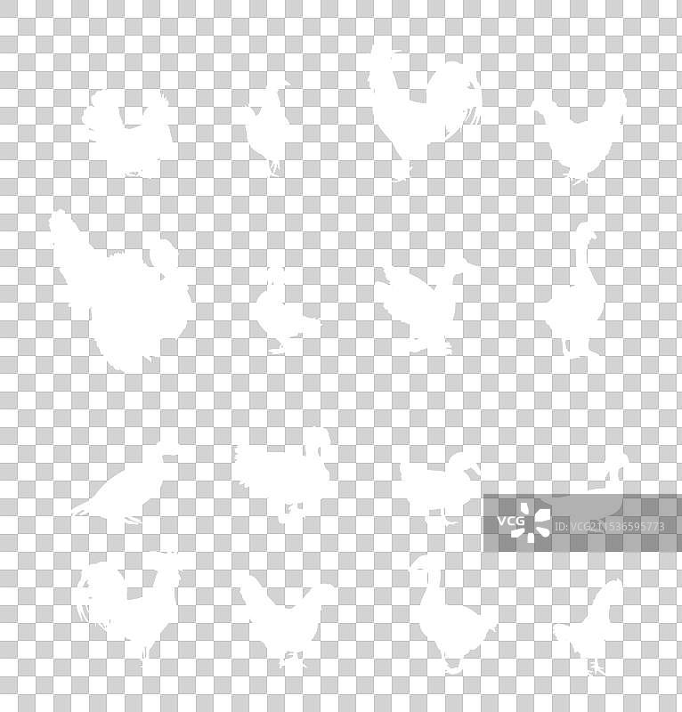 农场家禽鸟类剪影合集图片素材