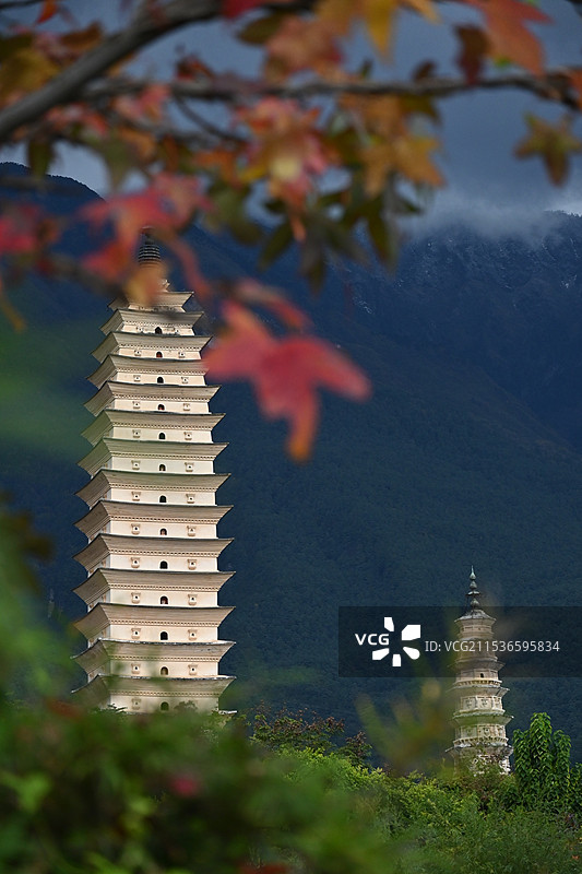 云南大理崇圣寺三塔与红枫图片素材