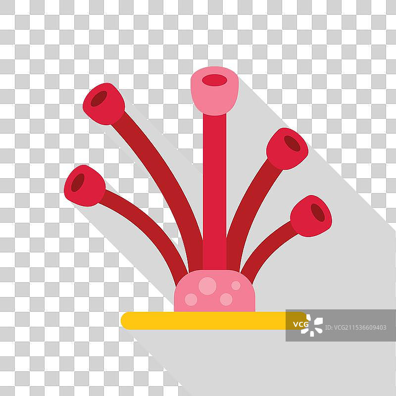 红色管状海绵在海底生长，长长的。图片素材