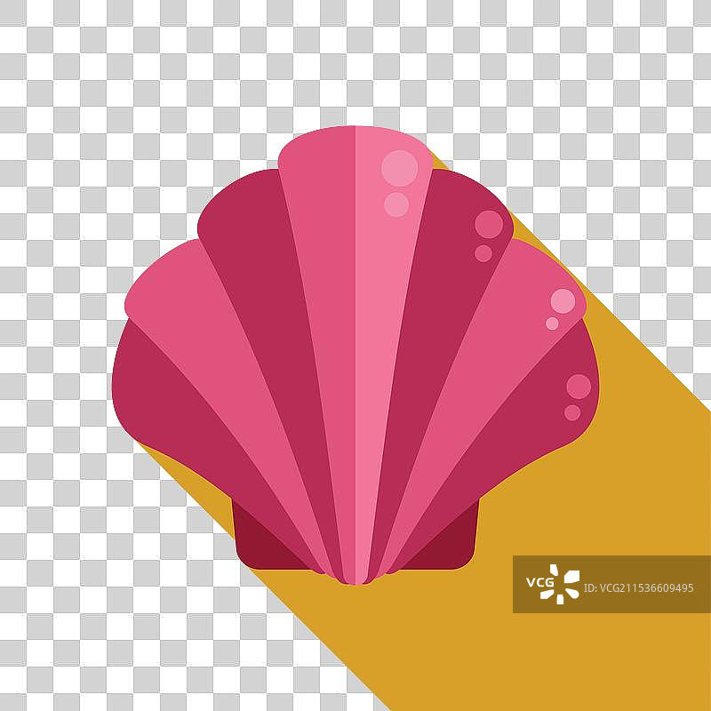 粉色扇贝海螺在上面投下长长的阴影图片素材