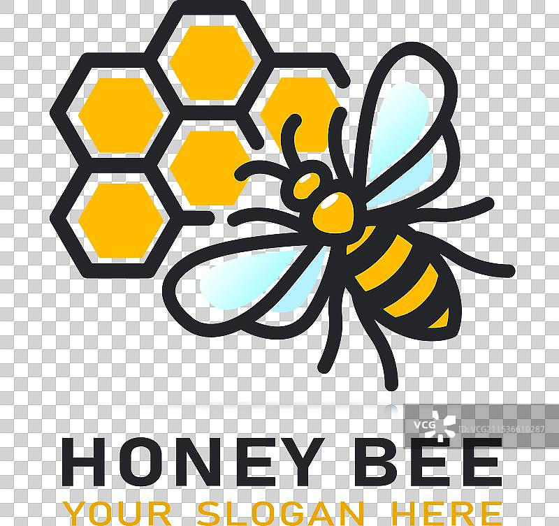 蜜蜂图标绘图，孤立展示图片素材