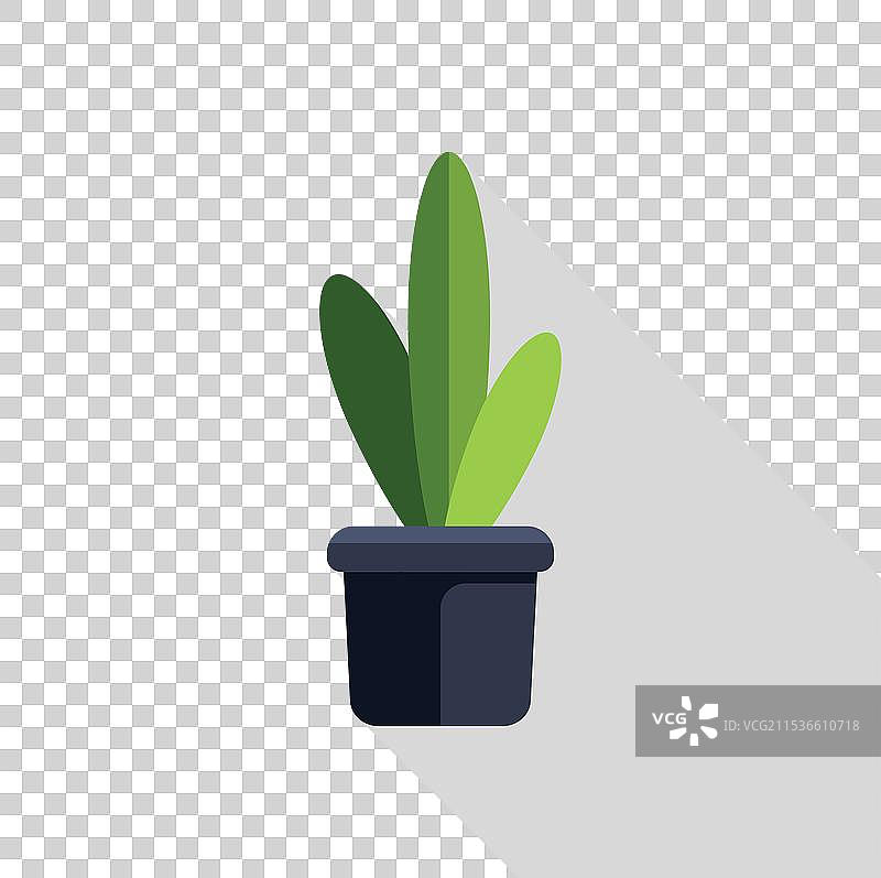 绿色植物在花盆中生长，投下长长的阴影图片素材