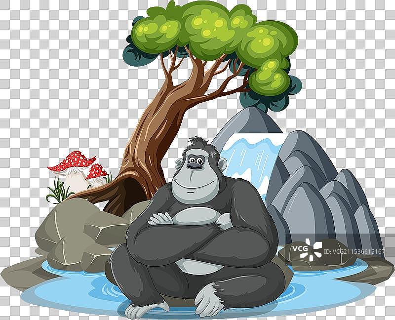 一只快乐的猩猩坐在树下的水边图片素材