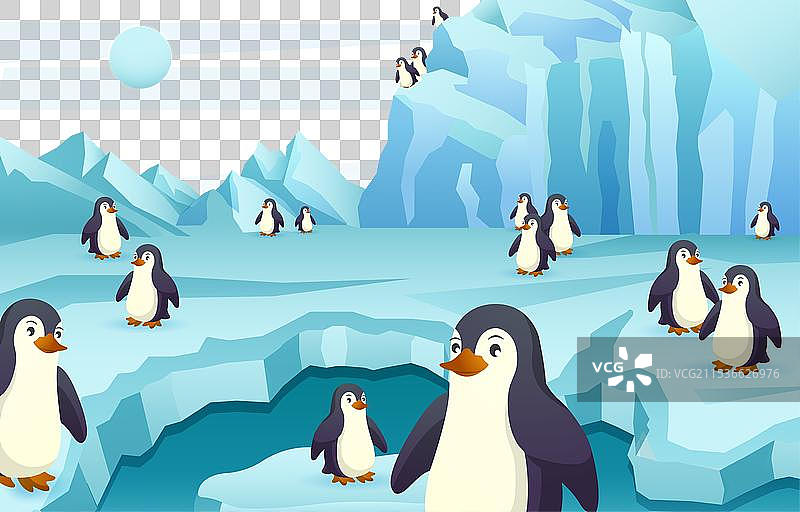 南极洲的企鹅群体场景图片素材
