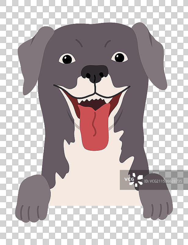 狗挂在边界上的肖像，嘴部特写图片素材