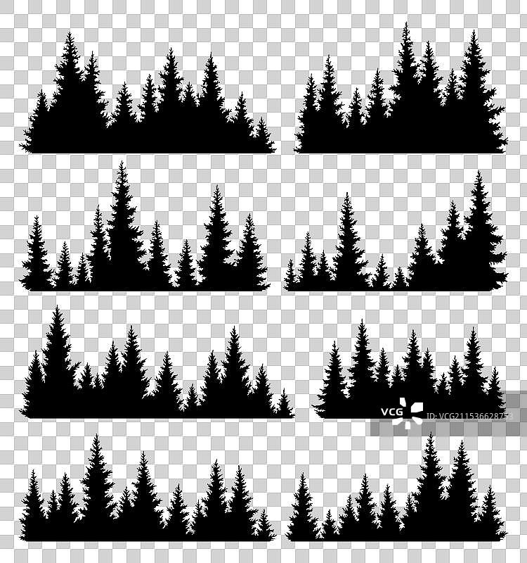 一组松树轮廓的针叶树图片素材