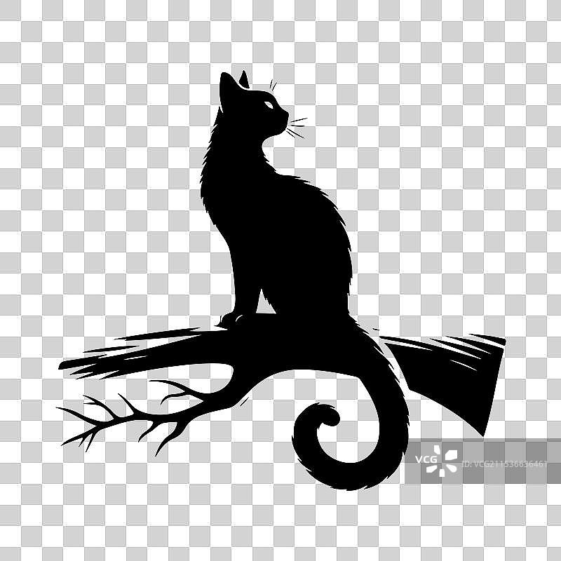 孤立的猫剪影图片素材