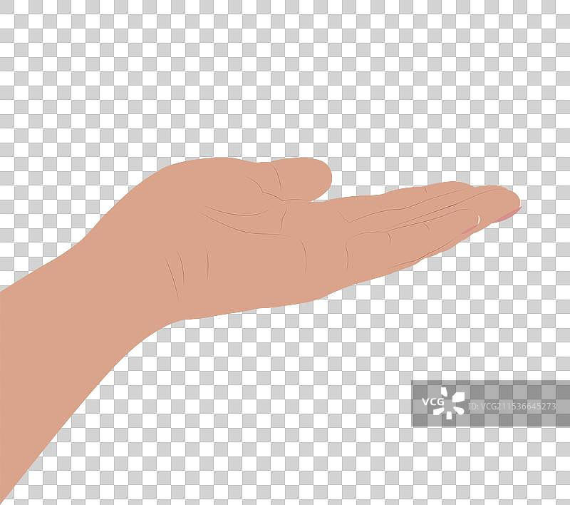 简单扁平的手掌图案图片素材