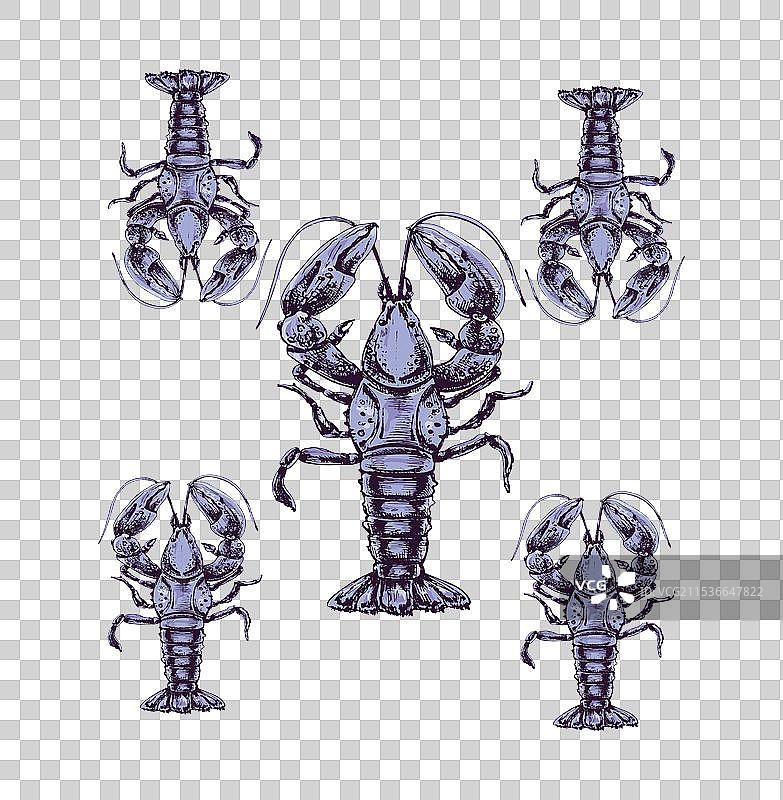 龙虾剪影艺术设计套件图片素材