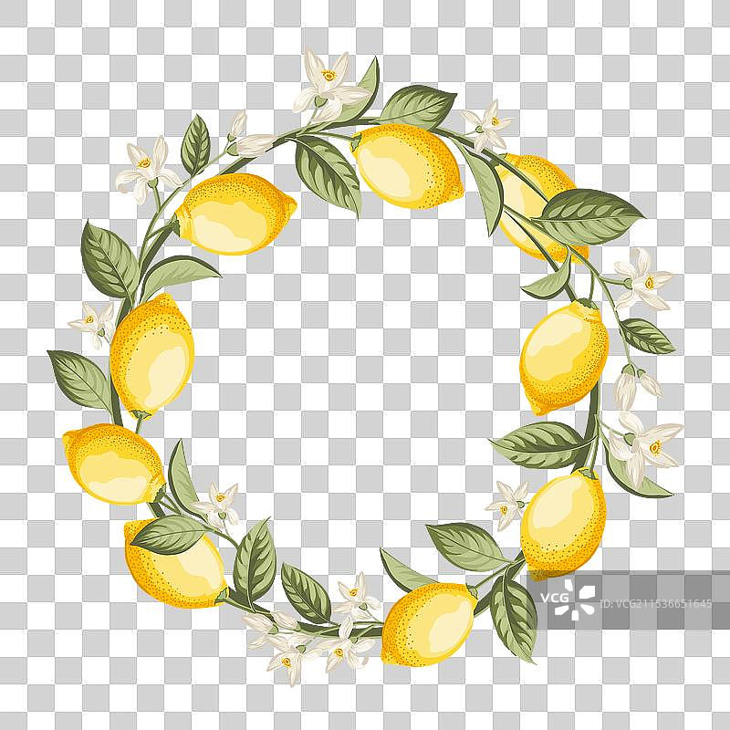 手绘柠檬花环柑橘图片素材