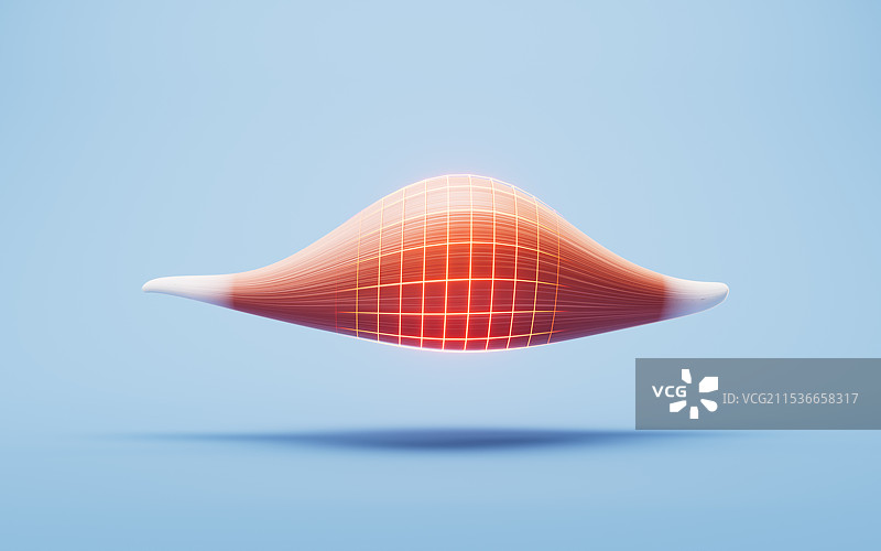 肌肉结构生物医学插画三维渲染图片素材