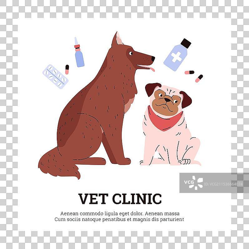 海报上展示了狗和药丸。图片素材