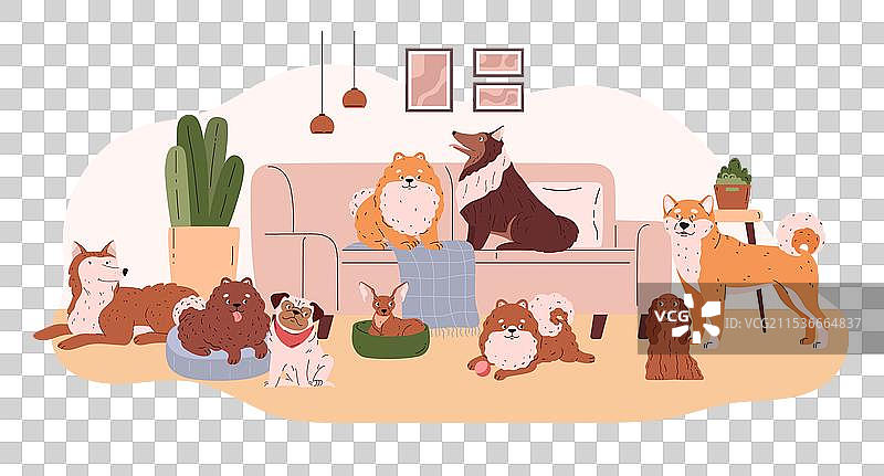 客厅里不同品种的卡通狗狗图片素材