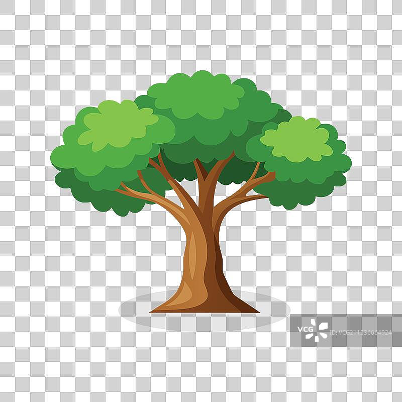 孤立的巴尔萨树，平放在白色背景上图片素材