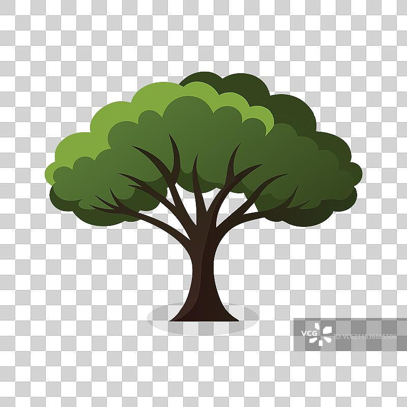 黑色灰树孤立在白色背景上图片素材