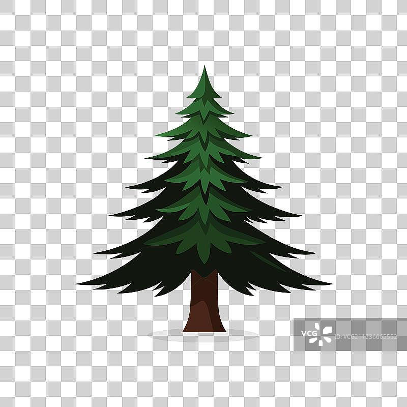 孤立的黑云杉树，平放在白色背景上图片素材