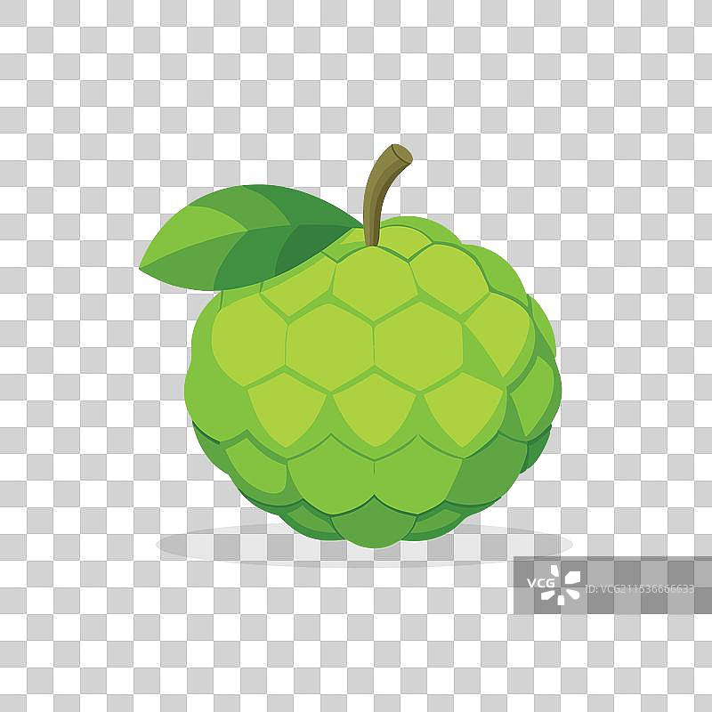 白色背景上孤立的释迦果图片素材