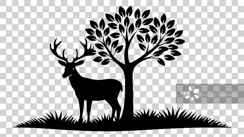 优雅地站在树下的鹿图片素材