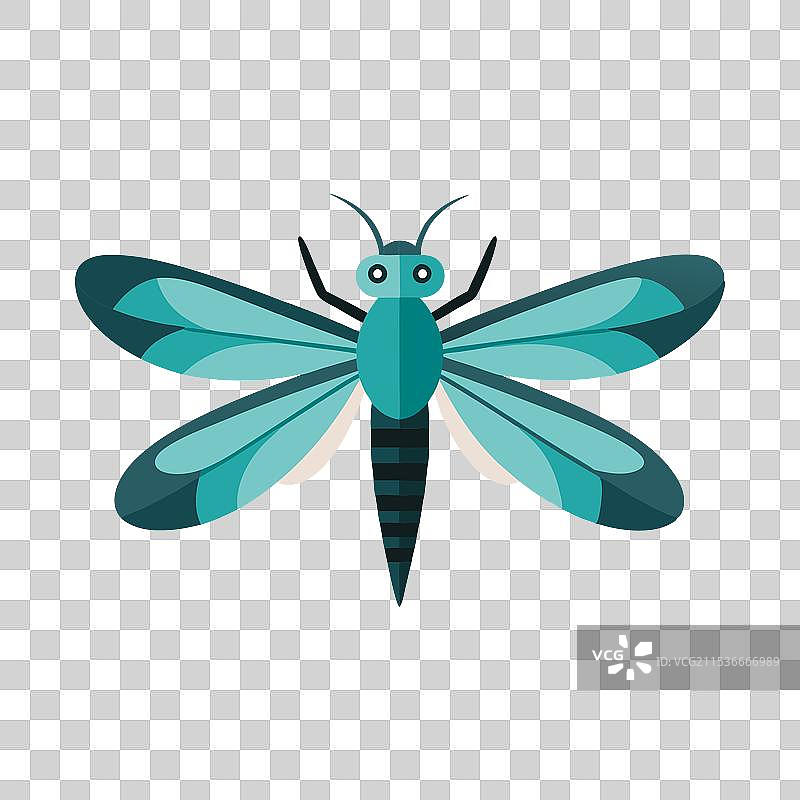 蜻蜓幼虫昆虫孤立在白色背景上图片素材