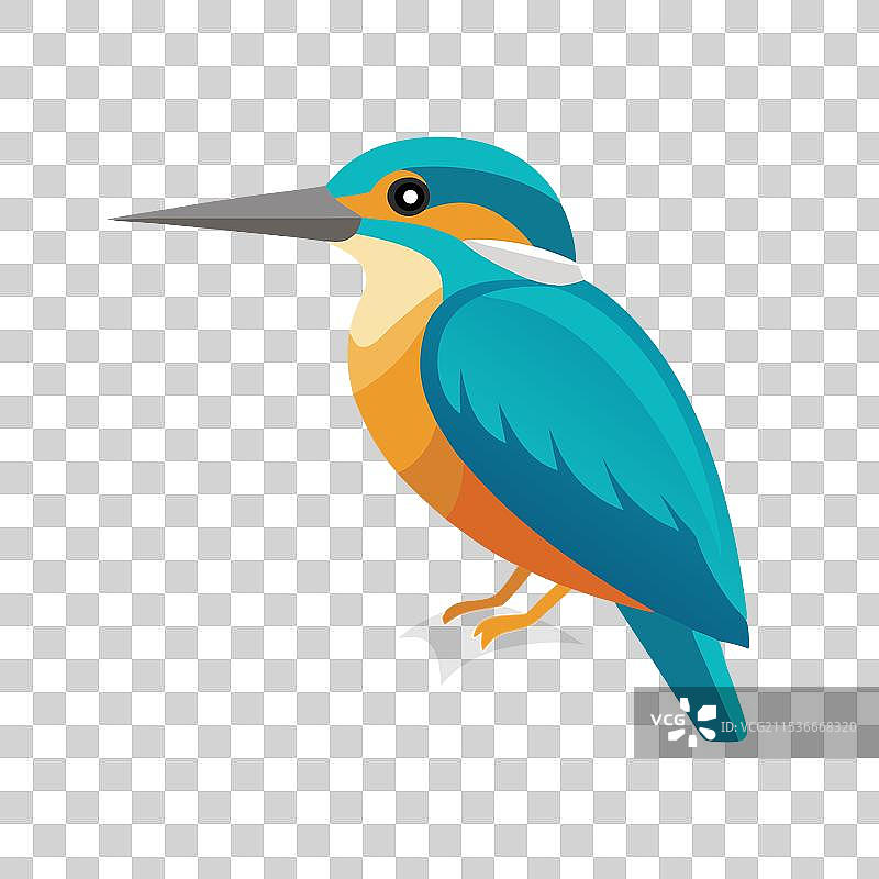 孤立在白色背景上的翠鸟图片素材